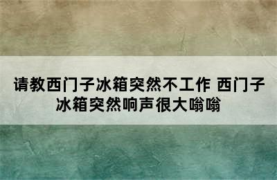 请教西门子冰箱突然不工作 西门子冰箱突然响声很大嗡嗡